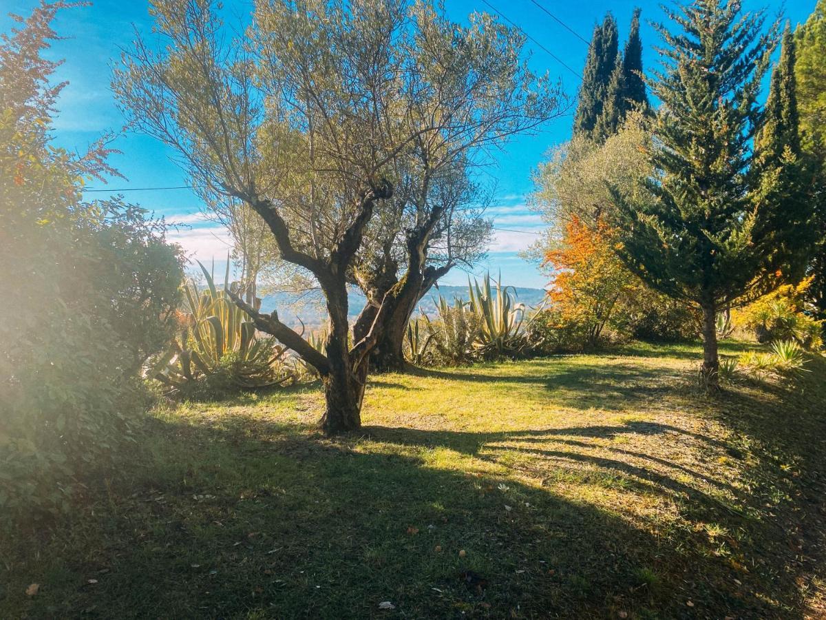 Les Lodges De Saint Cassien 2 Montauroux Bagian luar foto