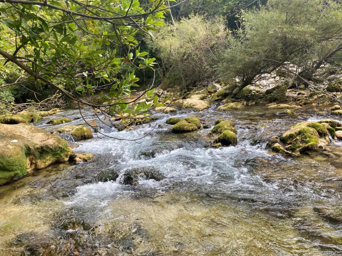 Les Lodges De Saint Cassien 2 Montauroux Bagian luar foto